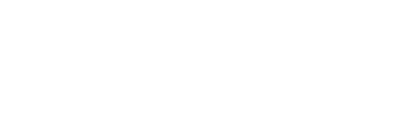 UdeC